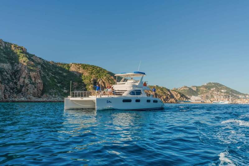 Cabo San Lucas: Luxury Catamaran Whale Watching Experience - Other sea life you might spot on the same cruise