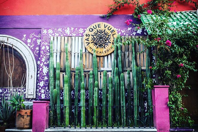 Cabo San Lucas Mezcal Tasting and Cocktail Class - Cocktail class at the bar: your mezcal drink, your questions