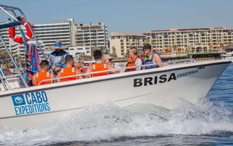 Cabo San Lucas: Parasailing Experience - What You’ll See Up High: Arch, Bay, Beaches, and the Coast Map