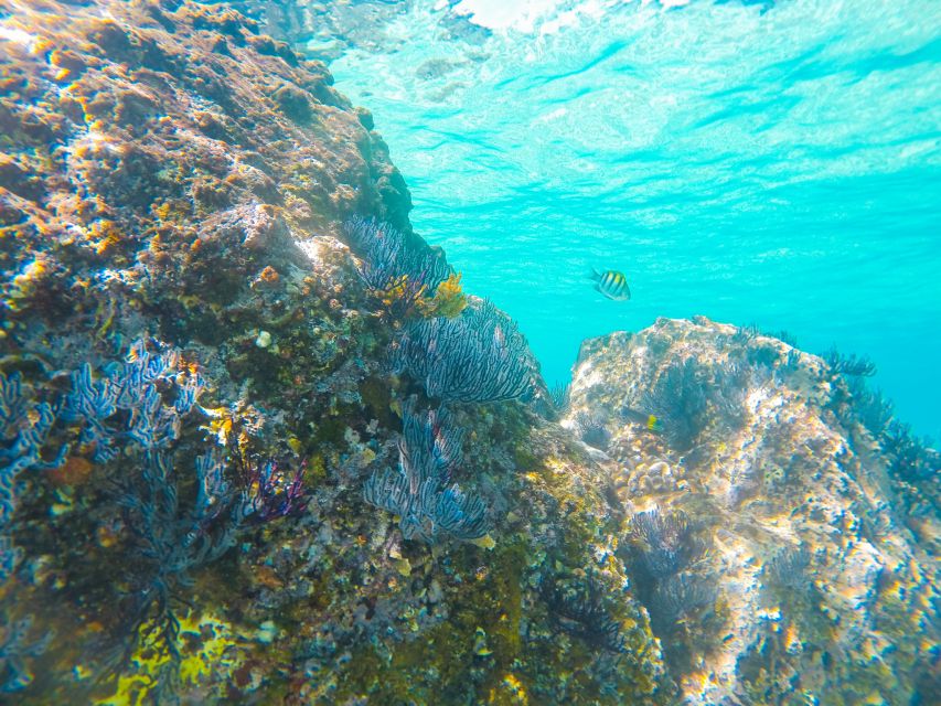 Cabo San Lucas: Private Catamaran Tour with Snorkeling - Jumping off a double-deck catamaran, yes, it’s part of the pitch