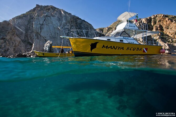Cabo San Lucas Short Snorkeling Tour with Divemaster Guide - Gear, wetsuits, and why the crew earns the repeat-booking energy