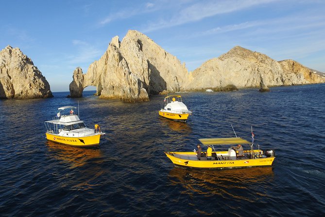 Cabo San Lucas Short Snorkeling Tour with Divemaster Guide - Should you book this Cabo San Lucas short snorkeling tour?