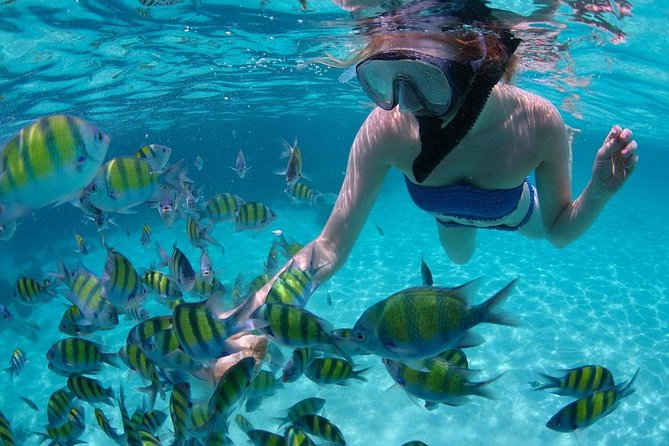 Cabo San Lucas Short Snorkeling Tour with Divemaster Guide - The 2 pm departure and what the schedule really feels like