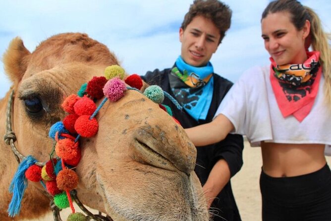 Cabo San Lucas Side by Side and Camel Riding Adventure - Key things to know before you go