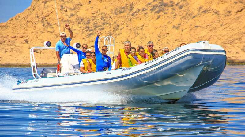 Cabo San Lucas: Snorkel, Paddle-board, and/or Kayak Tour - Why Cabo San Lucas Bay Feels Like a Natural Aquarium