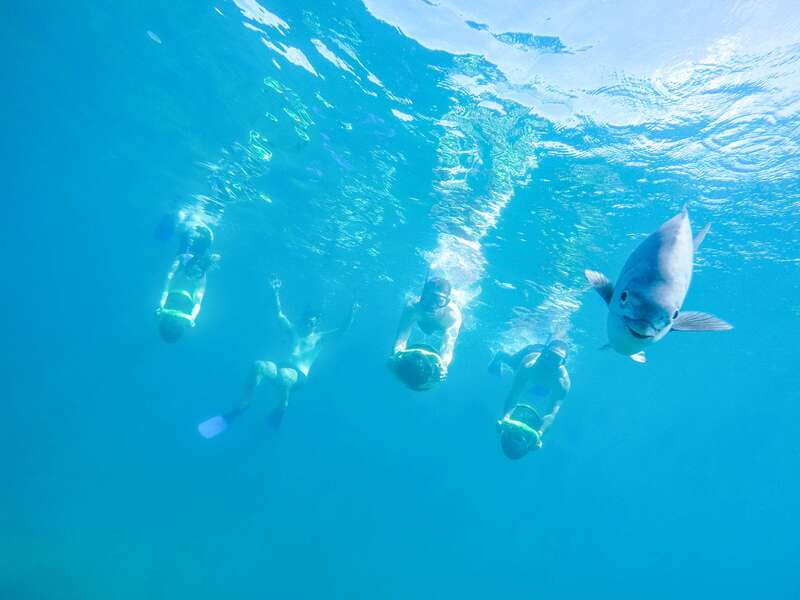 Cabo San Lucas: Snorkel, Paddle-board, and/or Kayak Tour - The Boat Ride, Van Time, and What the Day Actually Looks Like