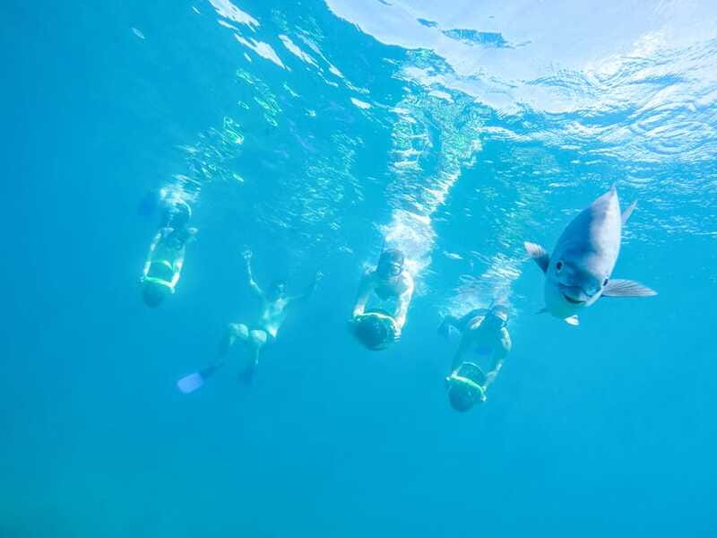 Cabo San Lucas: Snorkel, Paddle-board, and/or Kayak Tour - What to Bring So You Enjoy Every Minute