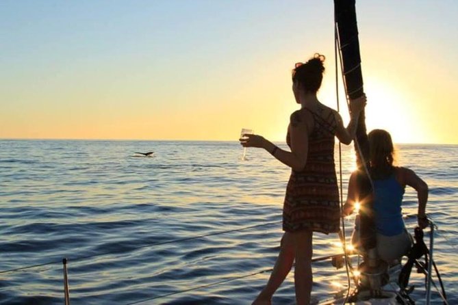 Cabo San Lucas Sunset Sailing Shared Cruise - Sunset Timing, Crew Music, and What the Water Might Throw at You