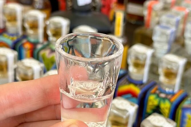 Cabo San Lucas Tequila Tasting and Mixology Class in Tasting Room - Key things to know before you go
