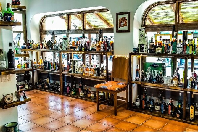 Cabo San Lucas Tequila Tasting Experience - What You Taste: Six Tequilas and Three Mezcals in One Session