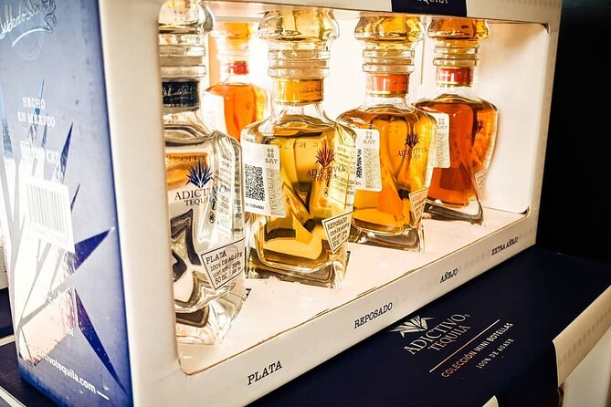 Cabo San Lucas Tequila Tasting Experience - Price at $40: What Makes It Feel Worth It