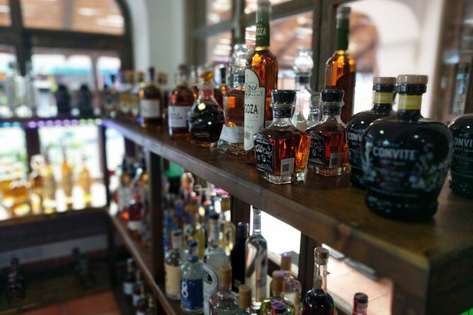 Cabo San Lucas Tequila Tasting Experience - Who This Private Workshop Is Best For