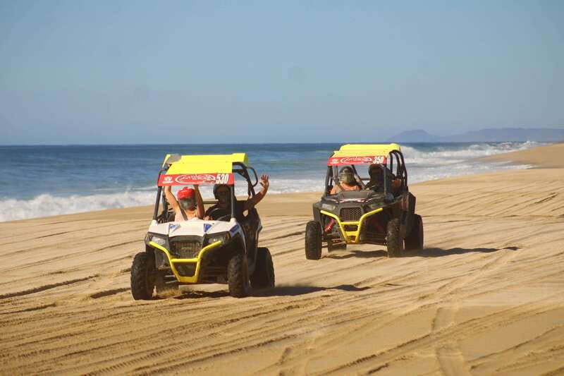 Cabo San Lucas: Tour en UTV playa desierto y tequila tasting - The 2-Hour Adventure: Canyons, Dry Riverbeds, and Baja Flora