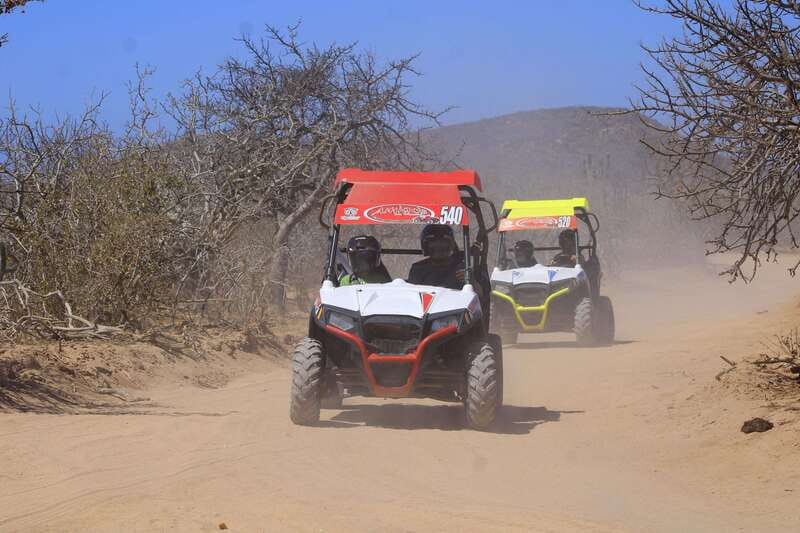 Cabo San Lucas: Tour en UTV playa desierto y tequila tasting - Tequila Tasting and Quesadillas: The Calm Part After the Chaos