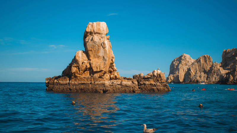 Cabo San Lucas: Tour paseo al Arco + bajada en playa - Key things to know before you go