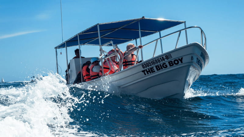 Cabo San Lucas: Tour paseo al Arco + bajada en playa - Getting started at Pochos Cabos Activities, and why check-in matters