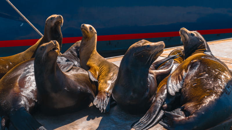 Cabo San Lucas: Tour paseo al Arco + bajada en playa - The 15-minute photo stop: how to get the shots without losing your patience