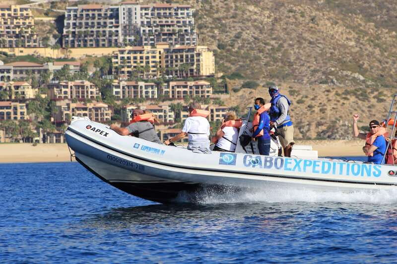 Cabo San Lucas: Up-Close Whale Watching Small-Group Tour - La Terminal de Cabo: where the trip starts fast
