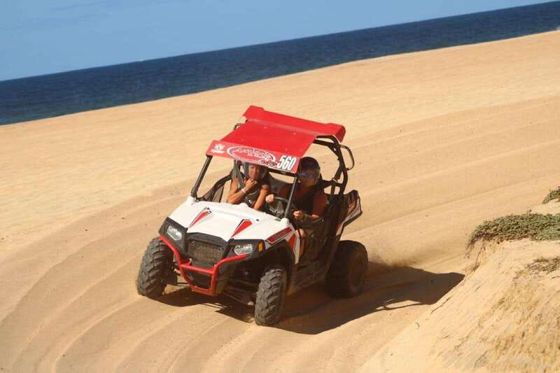 Cabo San Lucas: UTV Razor Tour of Migriño Desert and Beach - Baja plants and wildlife you can spot with a guide