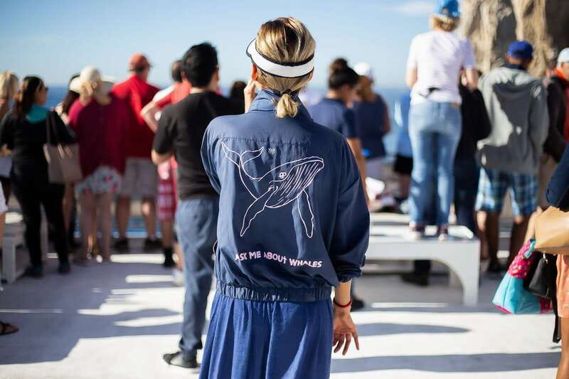 Cabo San Lucas: Whale Watching Breakfast Cruise - Why this two-hour breakfast cruise fits a Cabo morning