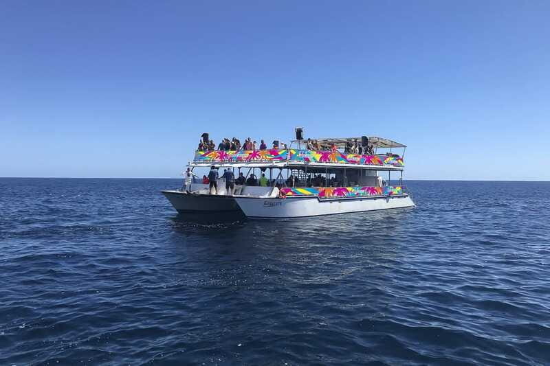 Cabo San Lucas: Whale Watching Breakfast Cruise - The onboard marine biologist and MC Victor-style storytelling