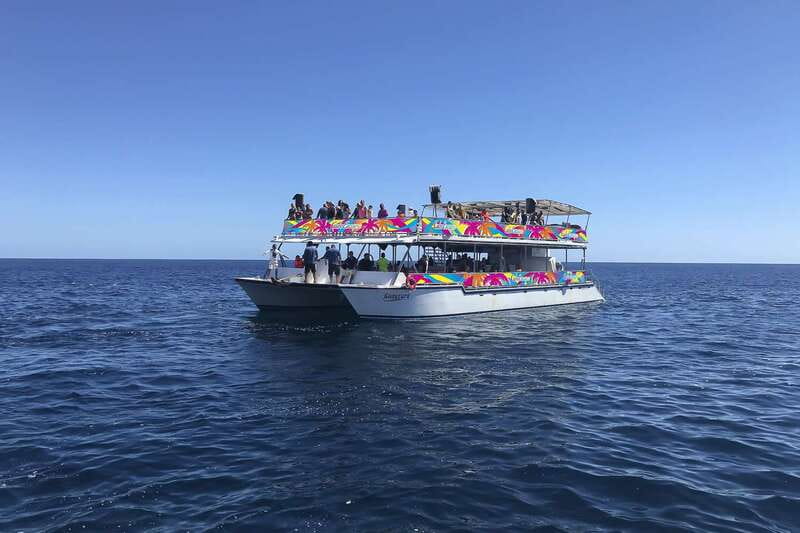 Cabo San Lucas: Whale Watching Breakfast Cruise - Itinerary in plain terms: from La Terminal de Cabo and back