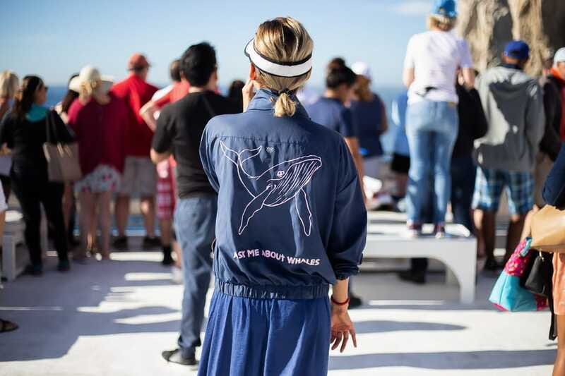 Cabo San Lucas: Whale Watching Breakfast Cruise - Practical logistics that actually affect your morning