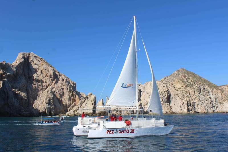 Cabo San Lucas: Whale Watching Experience on Catamaran - Price and Value for $101: What You’re Actually Paying For