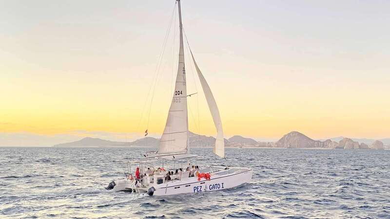 Cabo San Lucas: Whale Watching Experience on Catamaran - Service Reality Check: Punctual Friendliness, and One Pickup Warning