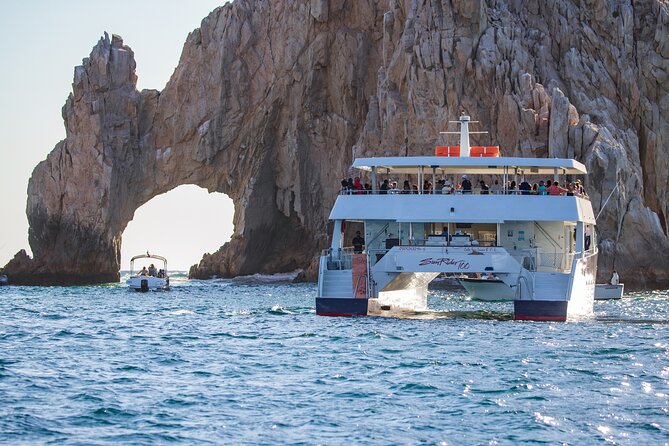 Cabo San Lucas Whale Watching Lunch Cruise - Whale watching etiquette that helps you get better photos