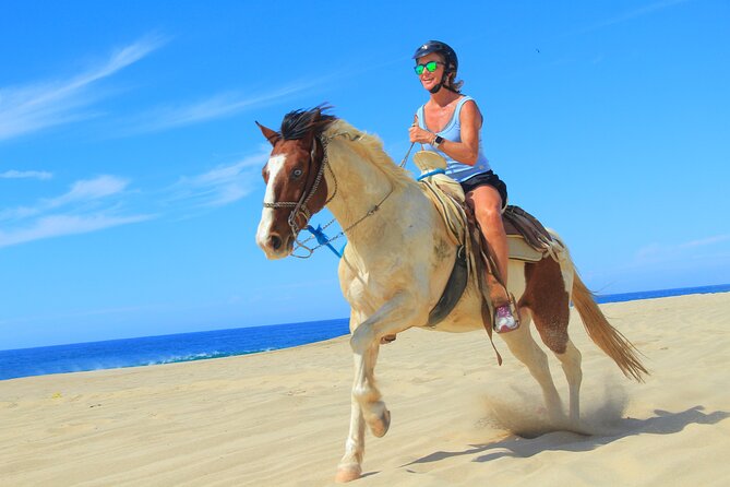 Cabo Shore Excursion: Beach Horseback Ride & Tequila Tasting - The Ride Itinerary: What Each Stop Feels Like