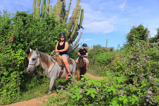 Cabo Shore Excursion: Beach Horseback Ride & Tequila Tasting - Horses, Safety Gear, and Beginner Comfort