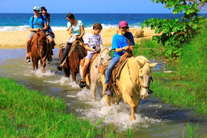 Cabo Shore Excursion: Beach Horseback Ride & Tequila Tasting - Tequila Tasting at the End: Expect Small Pours, Big Personality