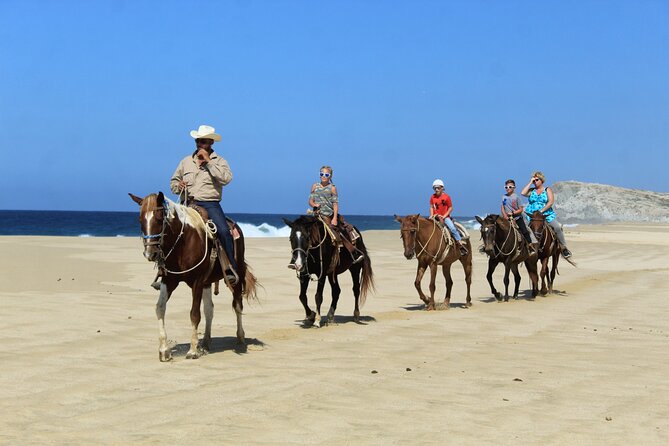 Cabo Shore Excursion: Beach Horseback Ride & Tequila Tasting - Price and Real Costs: What $70 Does and Does Not Cover