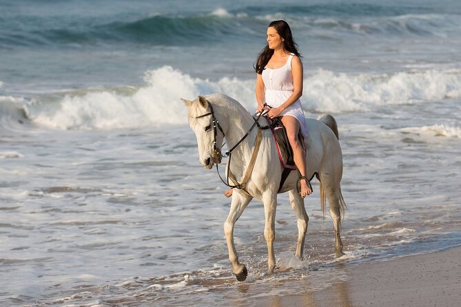 Cabo Shore Excursion: Beach Horseback Ride & Tequila Tasting - Photos, ATV Follow-Ups, and How to Keep This From Feeling Salesy