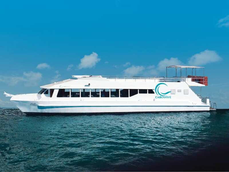 Cabo: Sunset Cruise with Dinner, Music & Open Bar - Price and value: what $99 really includes