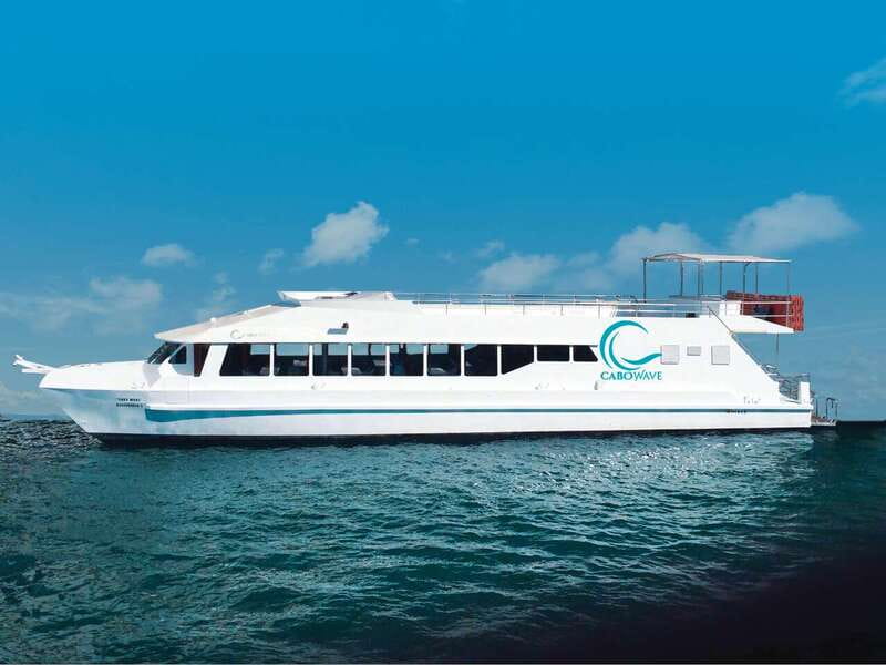 Cabo: Sunset Cruise with Dinner, Music & Open Bar - Dock 0 meeting point, plus the small cash fee