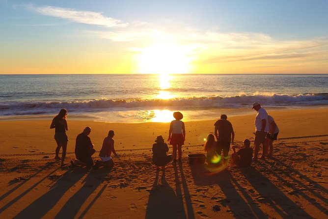 Cabo Turtle Release - Quick hits