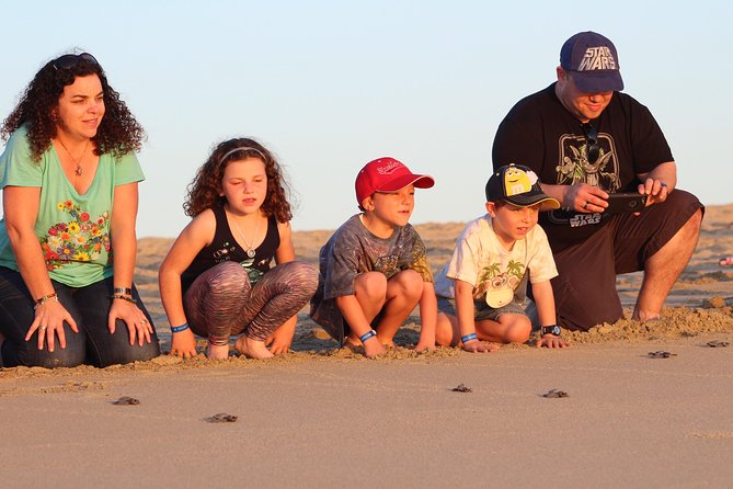 Cabo Turtle Release - Meeting at CaboTrekHotel Tesoro and getting to the beach without fuss