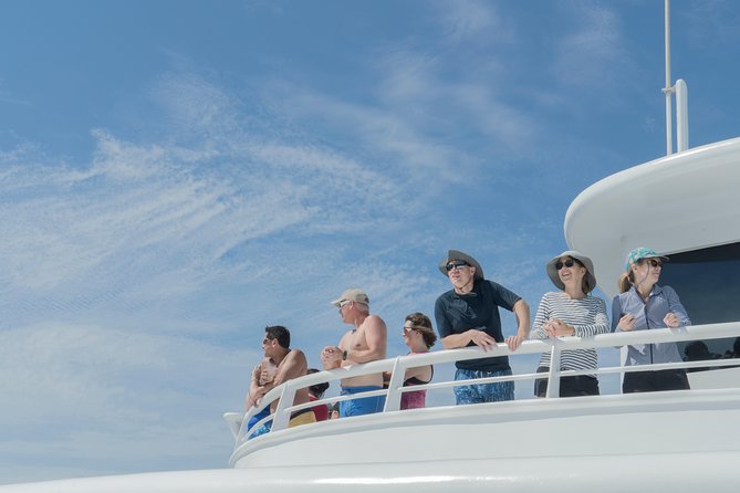 Cabo Whale Watch Three-Level Vessel and Majestic Arch - Stop Two: Caborey Sails Past the Sea Meets Desert Coast