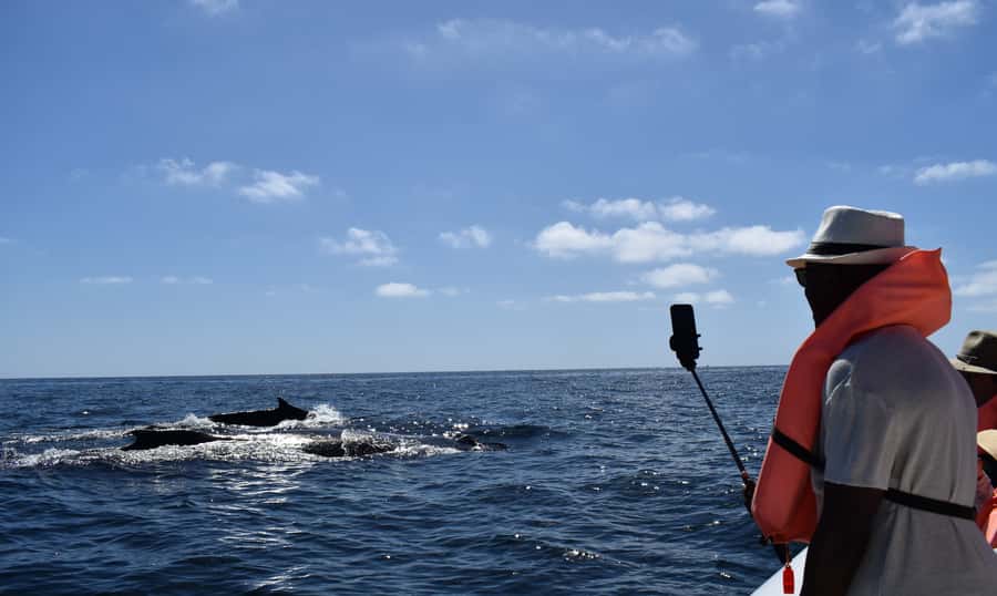 Cabo: Whale-Whatching Boat Trip w/ All-Women Crew and Photos - Before the whales: Cabo Arch and the first round of photos
