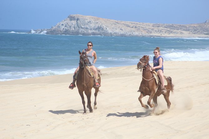 Cabo White Sand Horseback Riding Tour and Tequila Tasting - Cabo on Horseback: Desert Trails to White-Sand Views
