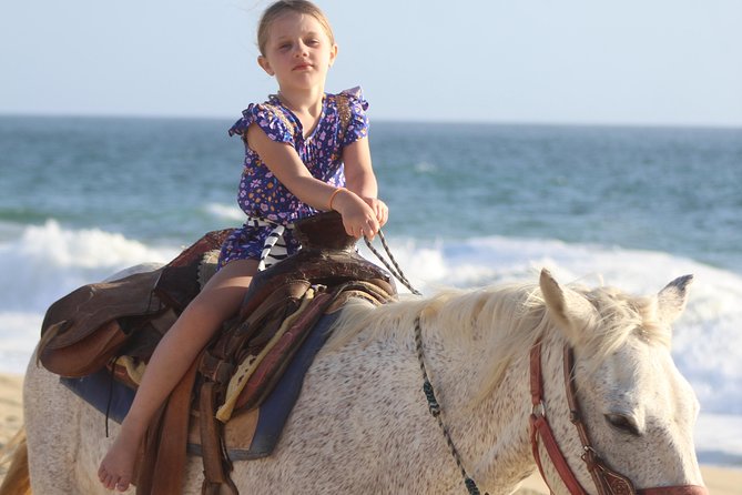 Cabo White Sand Horseback Riding Tour and Tequila Tasting - How the 2-Hour Ride Really Plays Out (Pickup, Time, and Group Size)