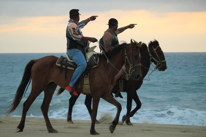 Cabo White Sand Horseback Riding Tour and Tequila Tasting - Tequila Tasting Included, But Decide How You Want to Handle the Sales Push
