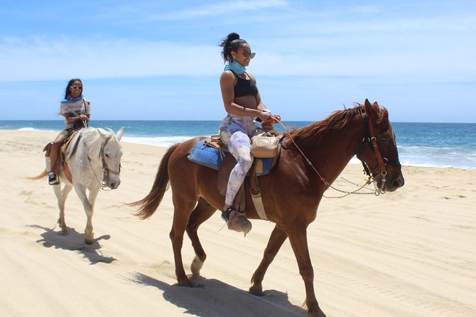 Cabo White Sand Horseback Riding Tour and Tequila Tasting - Price and Logistics: The Real Budget, Beyond the $85 Ticket