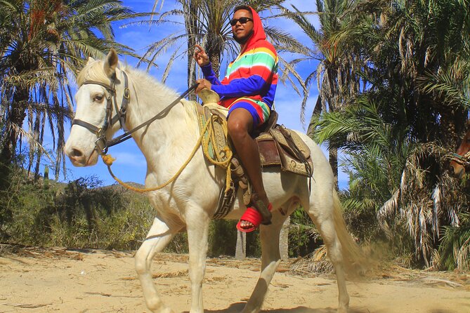 Cabo White Sand Horseback Riding Tour and Tequila Tasting - What to Bring and How to Keep the Day Stress-Free