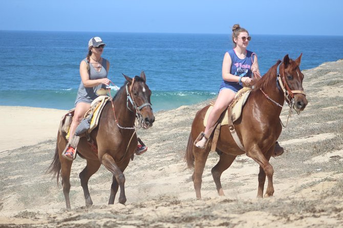 Cabo White Sand Horseback Riding Tour and Tequila Tasting - Who This Tour Fits Best (And Who Should Skip It)