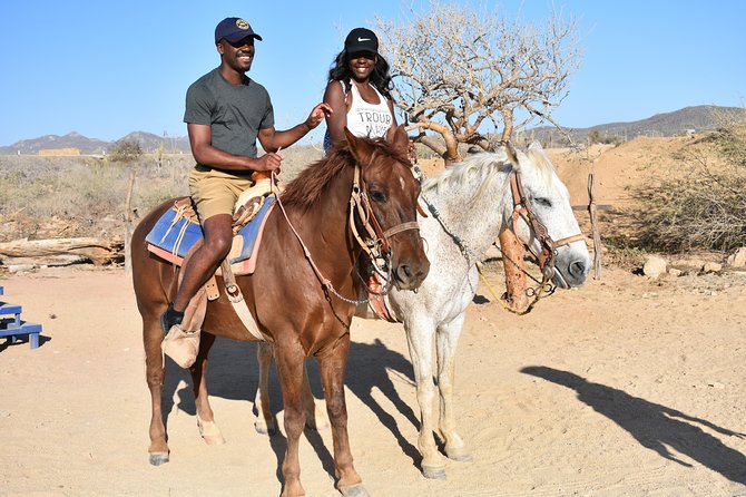 Cabo White Sand Horseback Riding Tour and Tequila Tasting - Should You Book This Cabo Horseback and Tequila Tour?