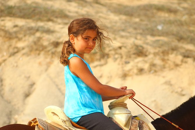 Cabo White Sand Horseback Riding Tour and Tequila Tasting - Beach Time: Ocean Views, Whale Season, and Wildlife From Shore