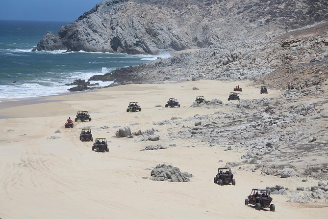 Cabo Wild Desert Tour, Polaris ATV or Razor Single, Double, Triple or Quad! - Who this Cabo ATV and RZR tour suits best